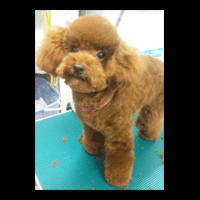 �g���~���O�摜�g�C�v�[�h��12