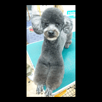 �g���~���O�摜�g�C�v�[�h��14