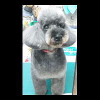 �g���~���O�摜�g�C�v�[�h��16