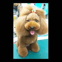 �g���~���O�摜�g�C�v�[�h��18