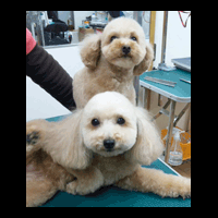 �g���~���O�摜�g�C�v�[�h��19