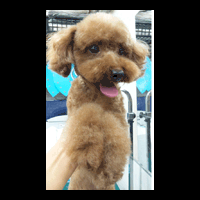 �g���~���O�摜�g�C�v�[�h��20