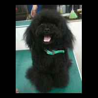 �g���~���O�摜�g�C�v�[�h��21