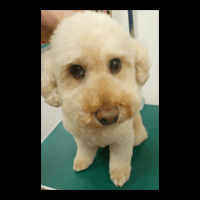 �g���~���O�摜�g�C�v�[�h��23