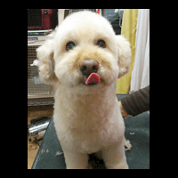 �g���~���O�摜�g�C�v�[�h��26