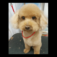 �g���~���O�摜�g�C�v�[�h��27