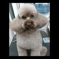 �g���~���O�摜�g�C�v�[�h��28