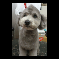 �g���~���O�摜�g�C�v�[�h��29