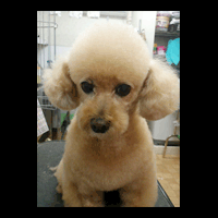 �g���~���O�摜�g�C�v�[�h��30