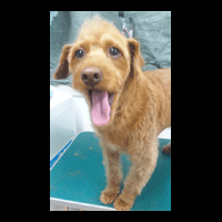 �g���~���O�摜�g�C�v�[�h��33