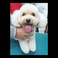 �g���~���O�摜�g�C�v�[�h��35