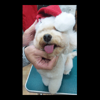 �g���~���O�摜�g�C�v�[�h��36