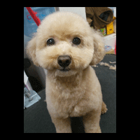 �g���~���O�摜�g�C�v�[�h��38