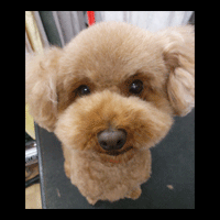 �g���~���O�摜�g�C�v�[�h��39