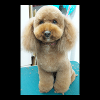 �g���~���O�摜�g�C�v�[�h��41