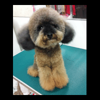 �g���~���O�摜�g�C�v�[�h��42