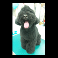 �g���~���O�摜�g�C�v�[�h��45