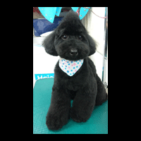 �g���~���O�摜�g�C�v�[�h��46