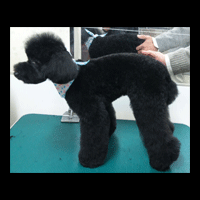 �g���~���O�摜�g�C�v�[�h��47