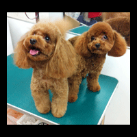 �g���~���O�摜�g�C�v�[�h��48