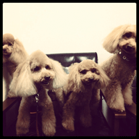 �g���~���O�摜�g�C�v�[�h��49