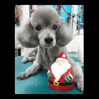 �g���~���O�摜�g�C�v�[�h��5