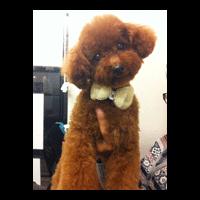 �g���~���O�摜�g�C�v�[�h��51