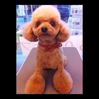 �g���~���O�摜�g�C�v�[�h��52