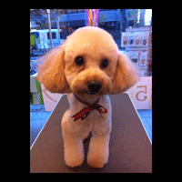 �g���~���O�摜�g�C�v�[�h��53