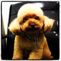 �g���~���O�摜�g�C�v�[�h��54