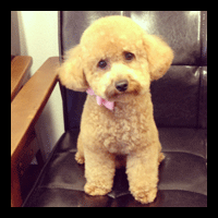 �g���~���O�摜�g�C�v�[�h��55