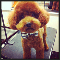 �g���~���O�摜�g�C�v�[�h��56