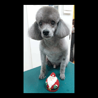 �g���~���O�摜�g�C�v�[�h��6