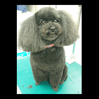 �g���~���O�摜�g�C�v�[�h��7