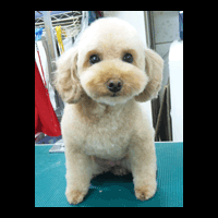 �g���~���O�摜�g�C�v�[�h��9