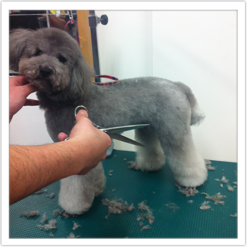 �g���~���O�̗���9-2