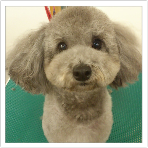 �g���~���O�̗���9-3