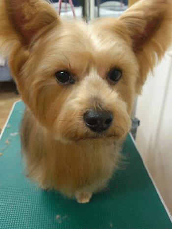 ���[�N�V���[�e���A�g���~���O�摜10