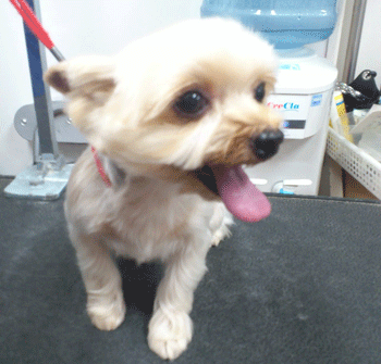 ���[�N�V���[�e���A�g���~���O�摜11