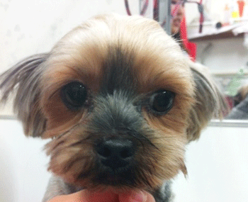 ���[�N�V���[�e���A�g���~���O�摜12