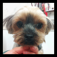 �g���~���O�摜���[�N�V���[�e���A12