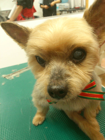 ���[�N�V���[�e���A�g���~���O�摜13