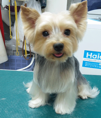 ���[�N�V���[�e���A�g���~���O�摜14