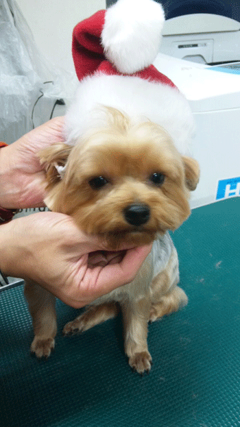 ���[�N�V���[�e���A�g���~���O�摜15