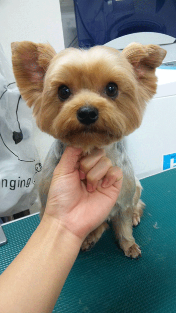 ���[�N�V���[�e���A�g���~���O�摜16