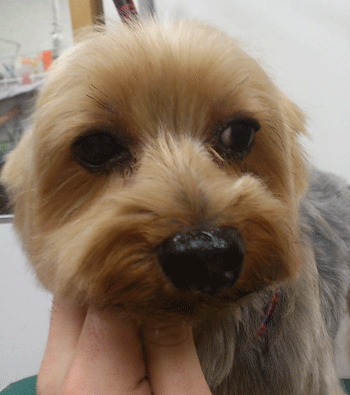 ���[�N�V���[�e���A�g���~���O�摜17