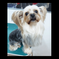 �g���~���O�摜���[�N�V���[�e���A18