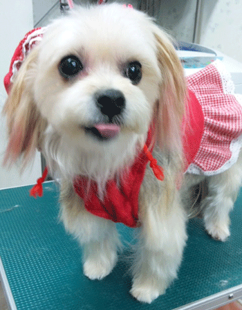 ���[�N�V���[�e���A�g���~���O�摜20