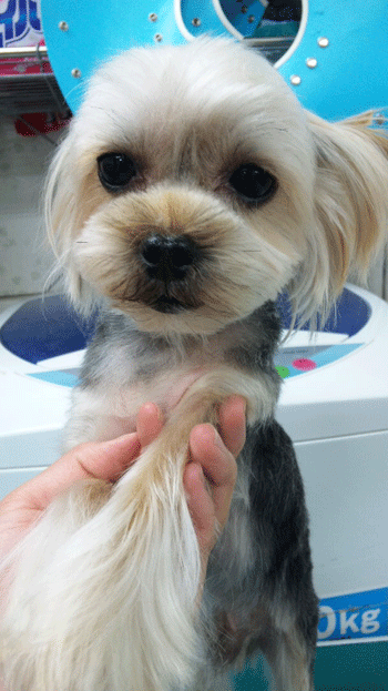 ���[�N�V���[�e���A�g���~���O�摜21