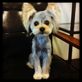 ���[�N�V���[�e���A�g���~���O�摜23